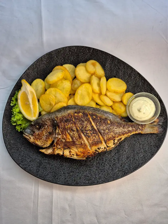 Dorade
