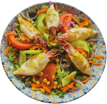 Oktopus Salat